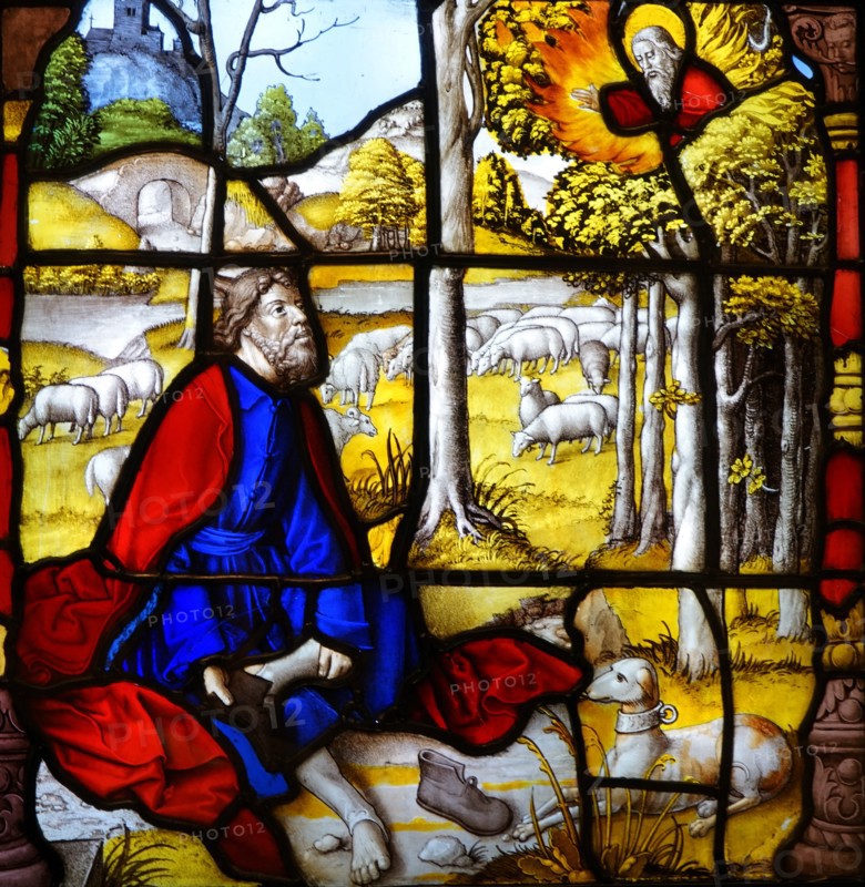 Stained glass windows from Mariawald