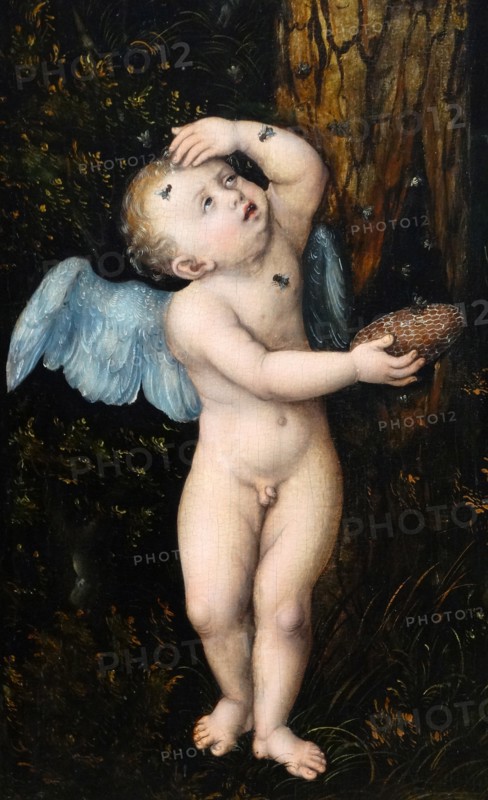 Cranach the Elder, 'Cupid complaining to Venus'
