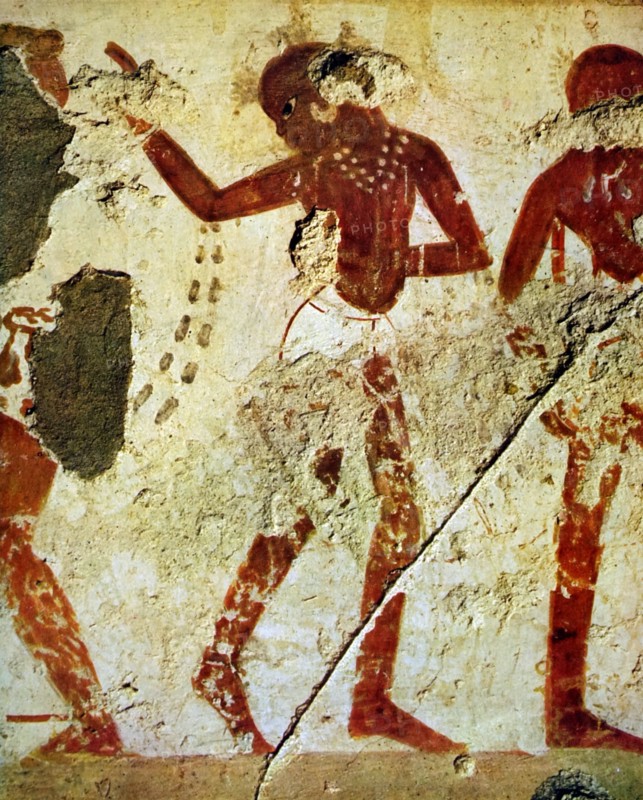 Egyptian tomb wall painting