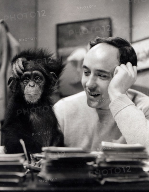 Desmond Morris