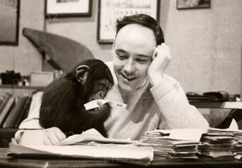 Desmond Morris
