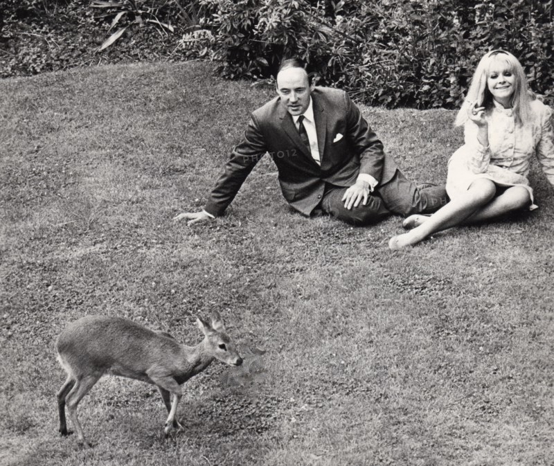 Desmond Morris