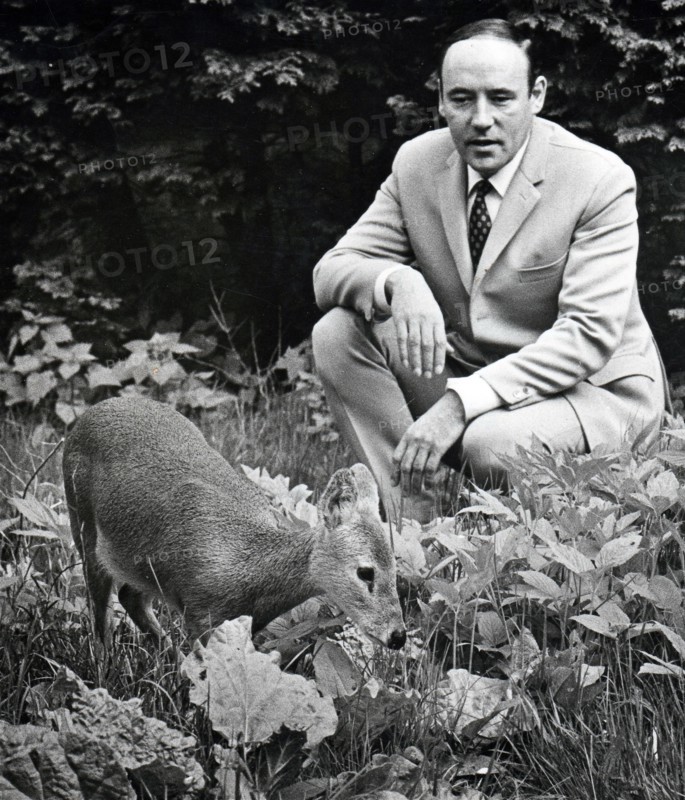 Desmond Morris