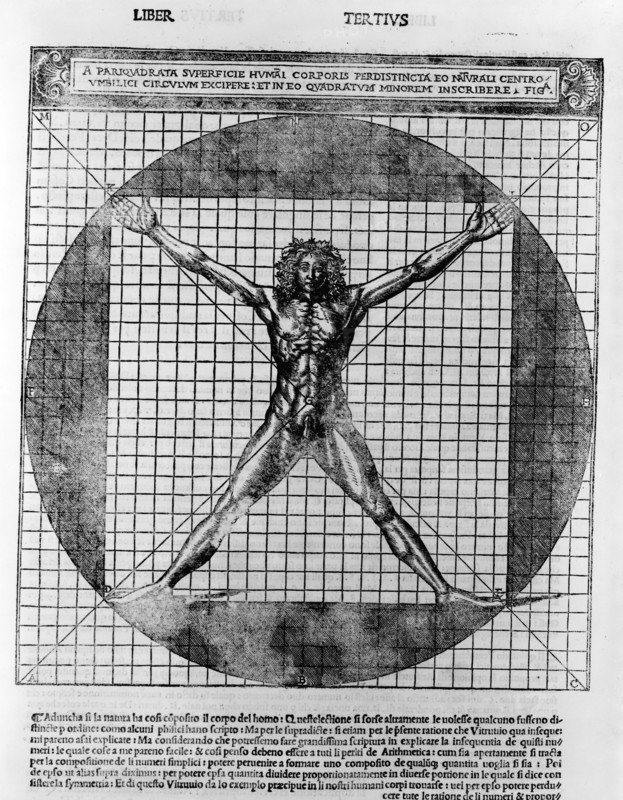 Male human body on a grid within a circle.by Vitruvius Pollio and Leonardo da Vinci