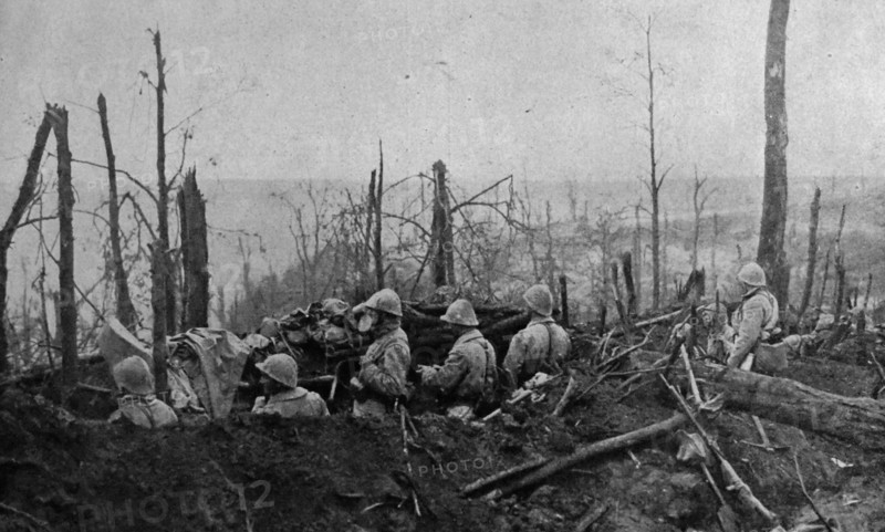 The battle of malmaison.