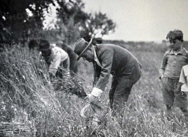 Mussolini working on a farm