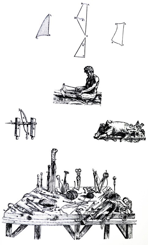 Plates from the Second Book of the De Humani Corporis Fabrica by Vesalius