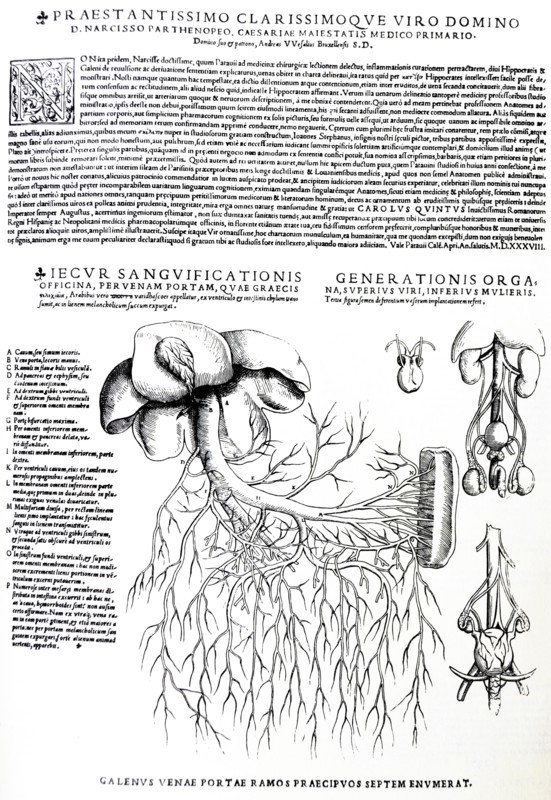 Plates from the Epitome of the De Humani Corporis Fabrica by Vesalius