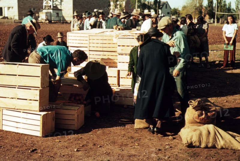 Distributing surplus commodities