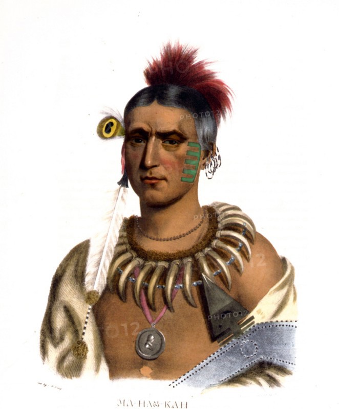 Hoo-Wan-Ne-Ka, a Winnebago chief