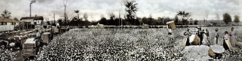 Cotton Pickers