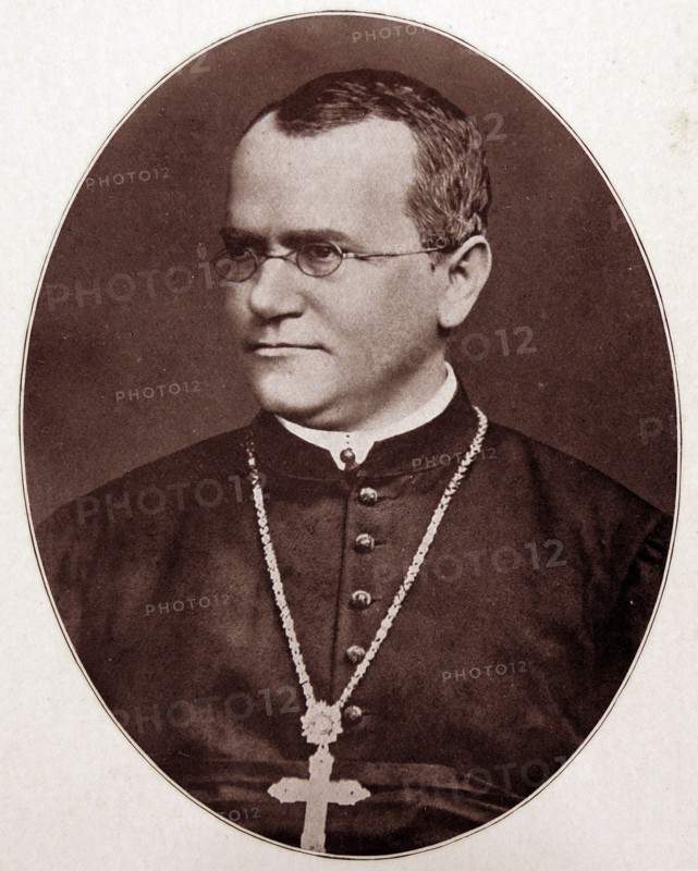 Gregor Johann Mendel by Renginald Crundell Punnet