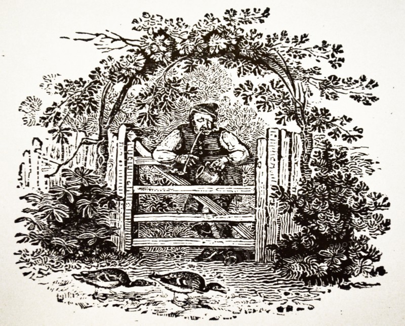 Countryman Smoking a Churchwarden
