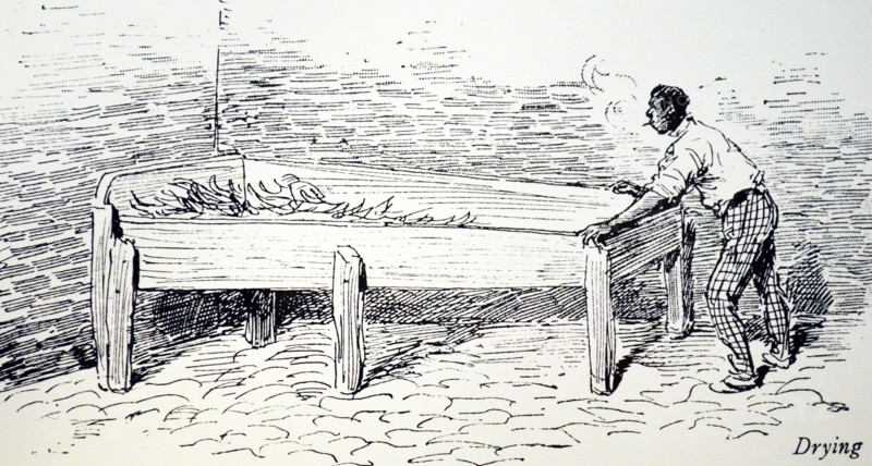 Machado's cigar factory