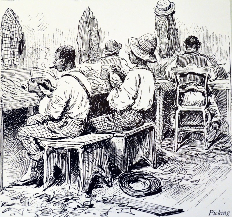 Machado's cigar factory