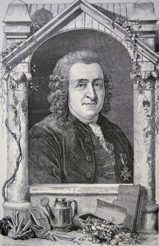 Carl von Linne