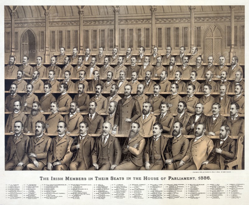 Irish members in their seats in the House of Parliament