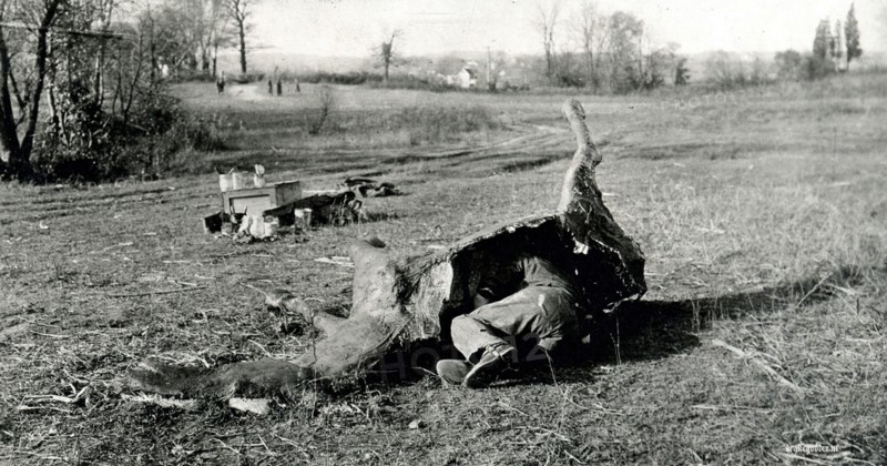 Photograph of a Soldier Demonstration Camouflage