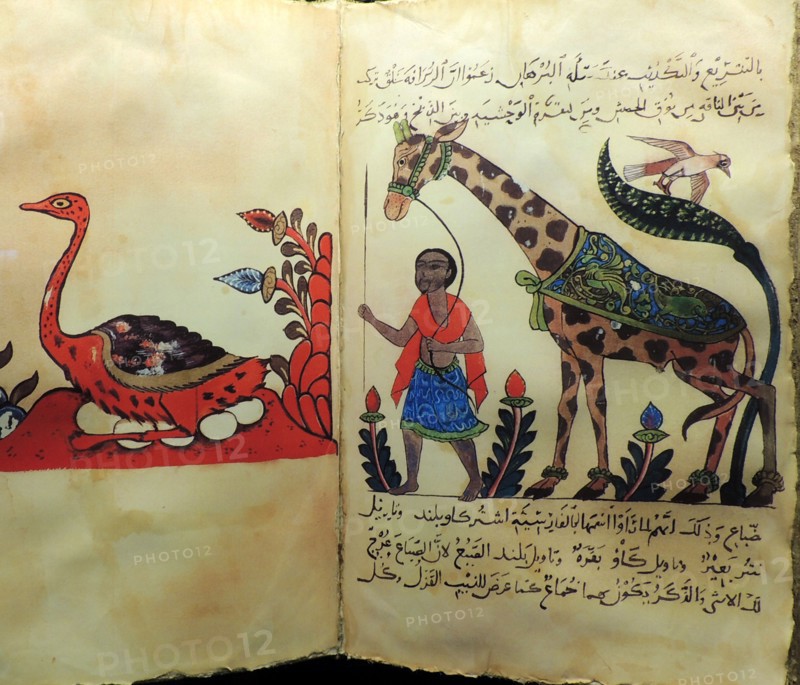 Advances in zoology, botany, astronomy and navigation