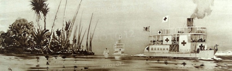 Thomas Cook cruise ships converted to use as hospital ships
