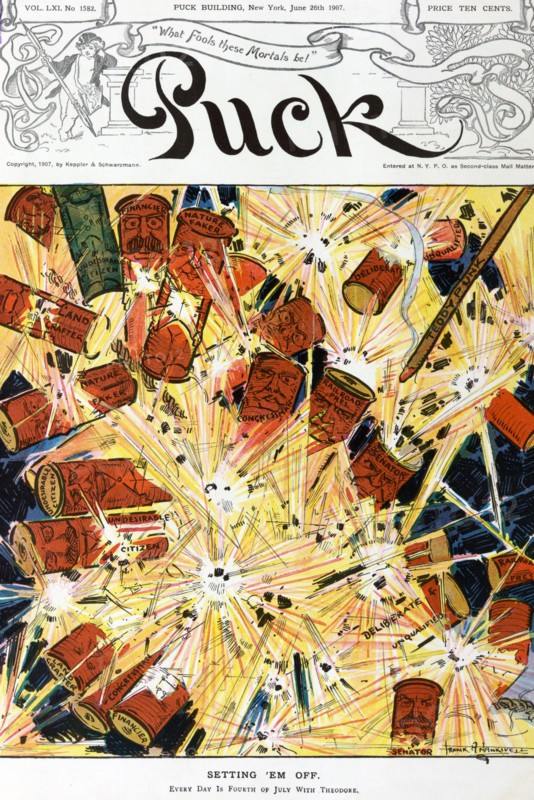 Exploding fireworks that were ignited by a 'Teddy Punk' stick