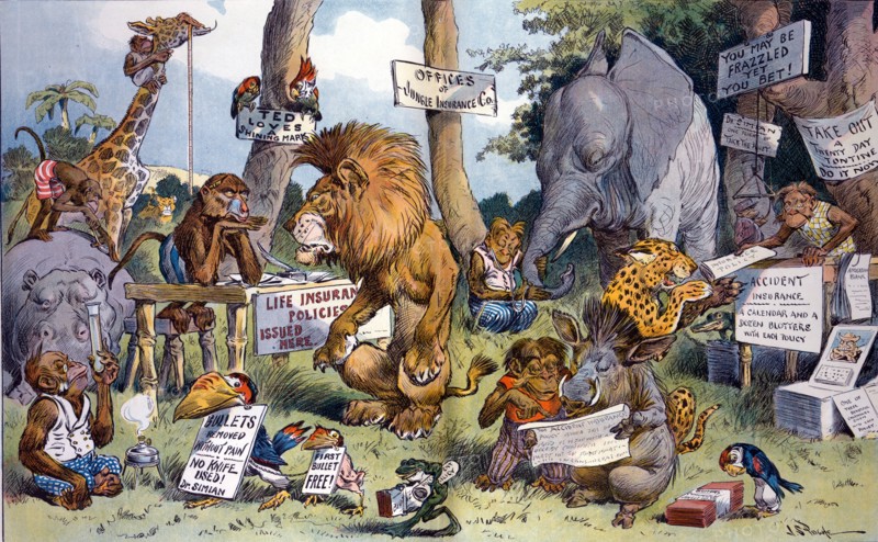 Wild animals purchasing life insurance policies in anticipation of big game hunting expeditions