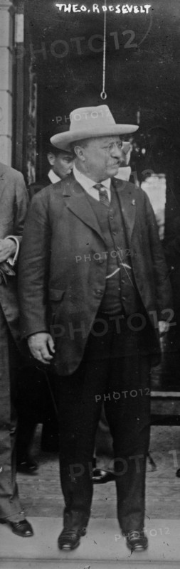 President Theodore Roosevelt