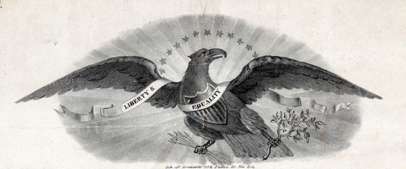 American eagle a symbol of the united states of America
