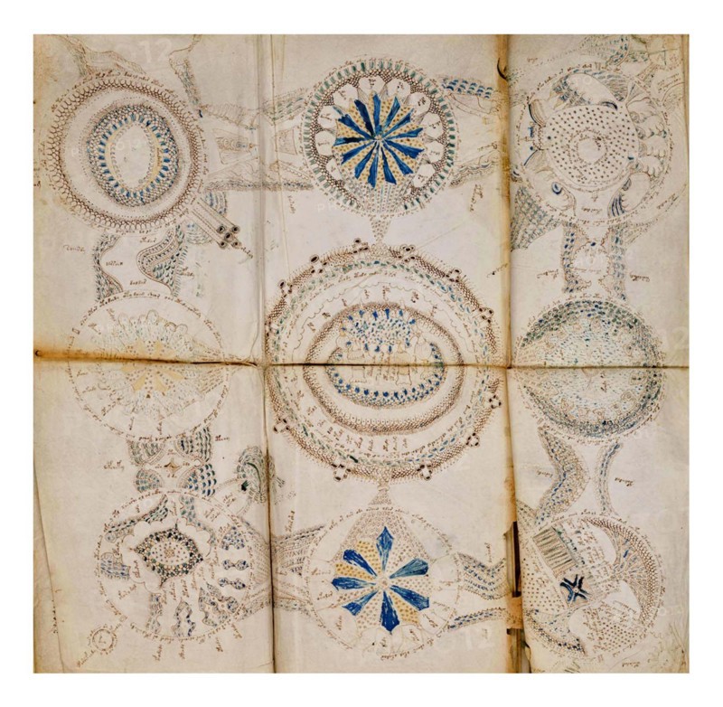 Page from The Voynich Manuscript