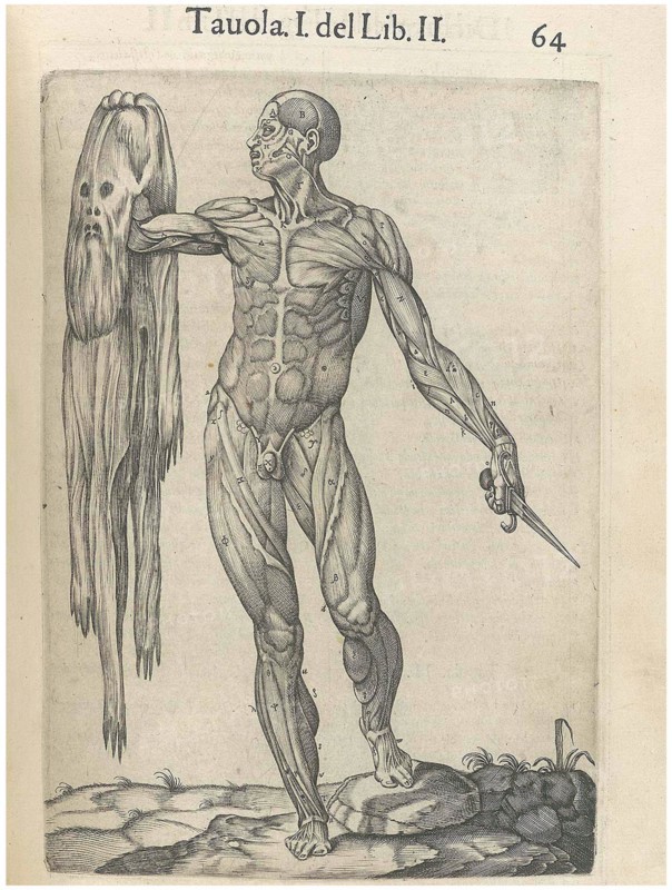 Print from "History of the composition of the human body"