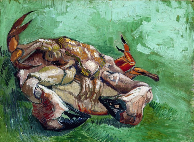 Painting titled "A Crab"