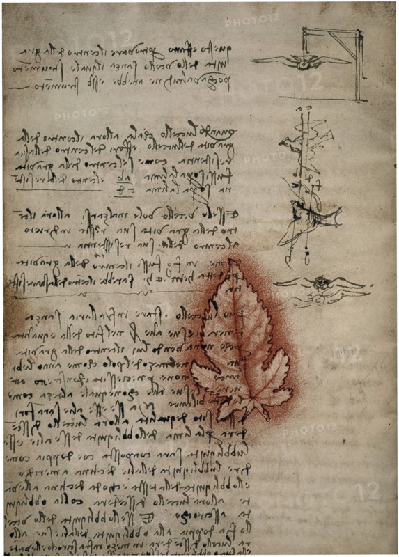 Codex on the Flight of Birds; circa 1505. By Leonardo da Vinci.