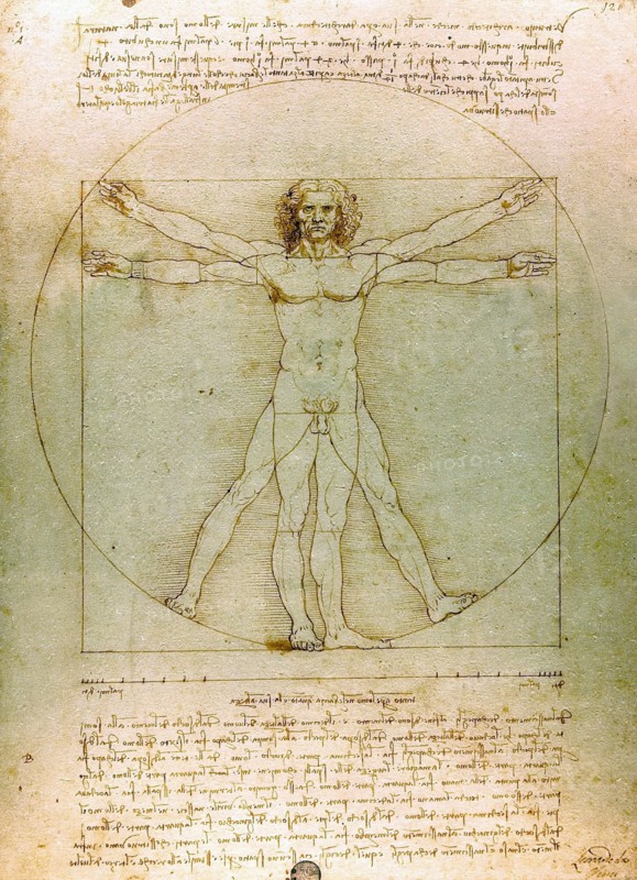 The Vitruvian Man