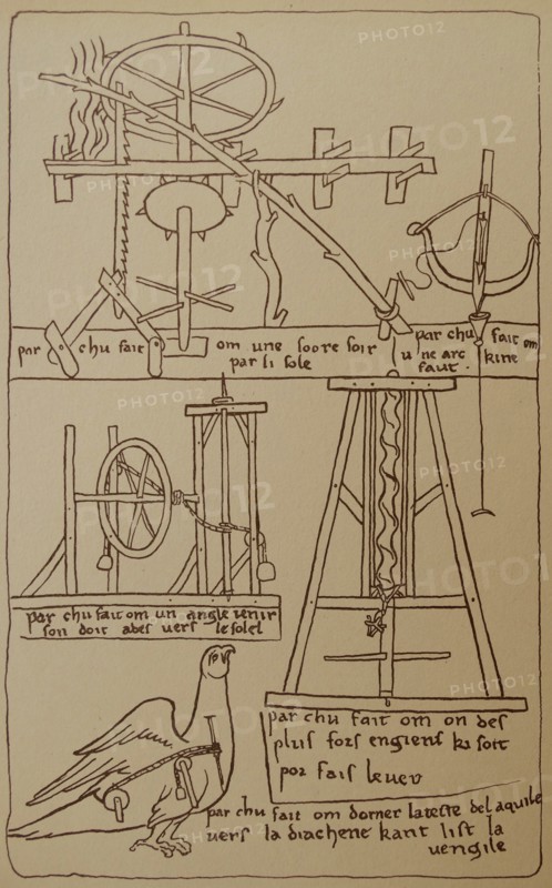Diagram of a the mechanism behind a nodding eagle.