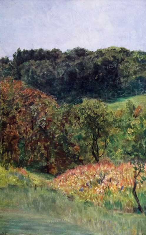 white blooms 1900, by Wilhelm August Theodor Steinhausen