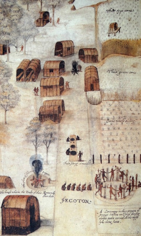 This watercolour is of a second village, that of Secoton by John White (created 1585-1586).