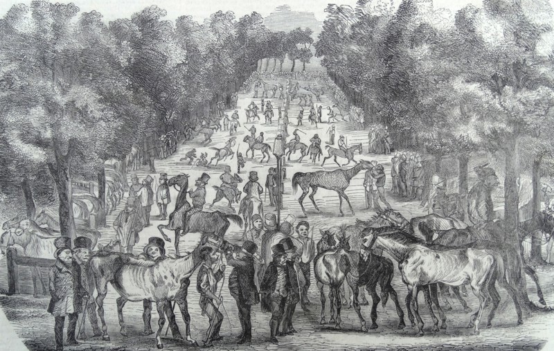 Illustration depicting the horse market in Paris