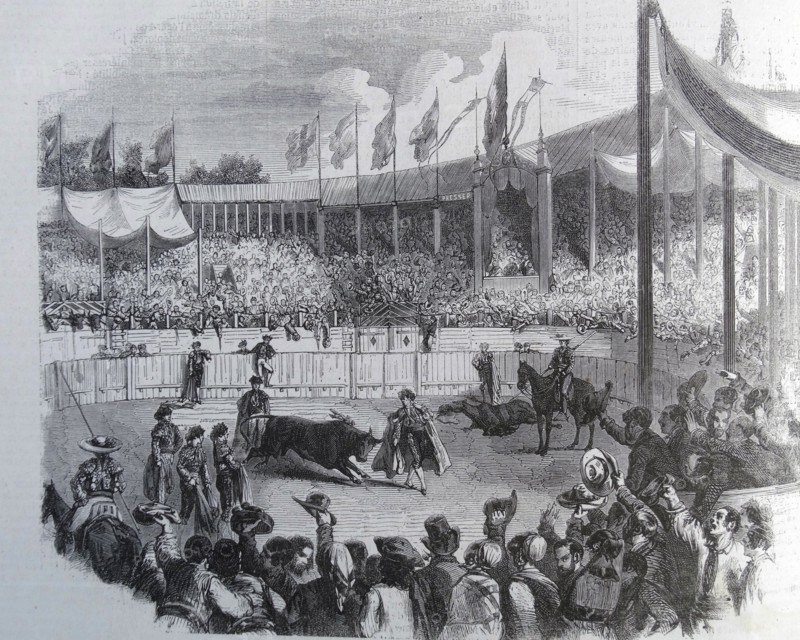 Illustration of Arjona Francisco Guillen during a bullfight