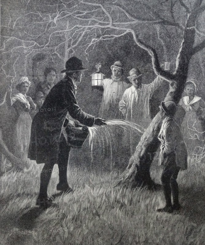 Illustration from a book depicting Wassailing the apple trees