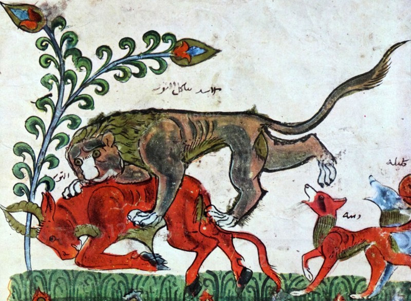 The Lion Pingalaka is one of the Panchatantra, an ancient Indian inter-related collection of animal fables