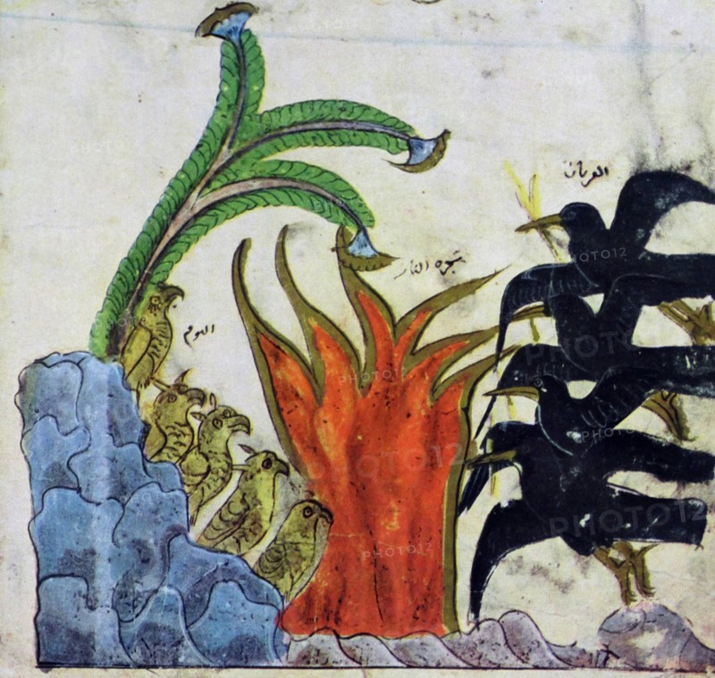 From a Syrian painting. The owls are burned to death by the crows., is one of the Panchatantra,