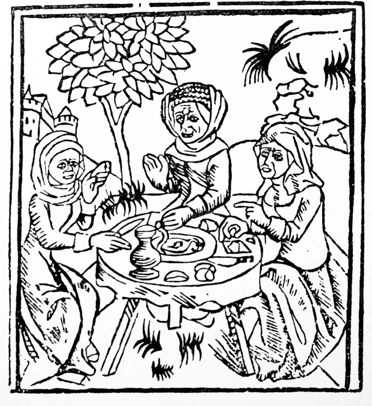 De Lamiis et Pythonicis Mulieribus (Of Witches and Diviner Women), published in 1489
