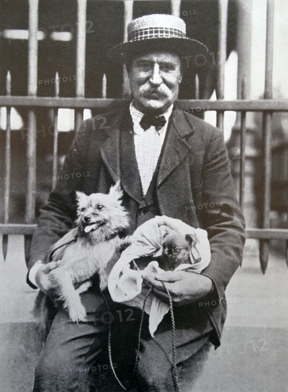 man with a dogs, Belgium 1910