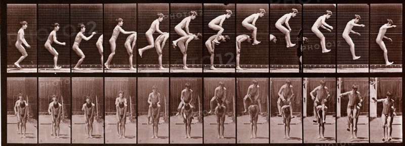 Animal Locomotion photograph by Eadweard Muybridge, 1887