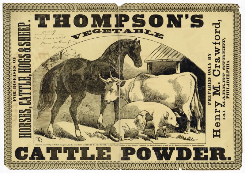 Advert for Thompson's Vegetable Cattle Powder