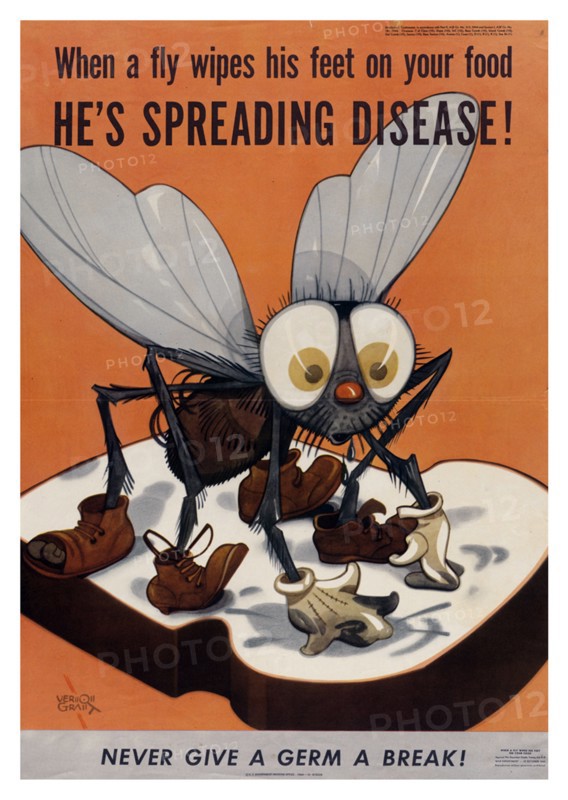 Public Health Poster on Flies
