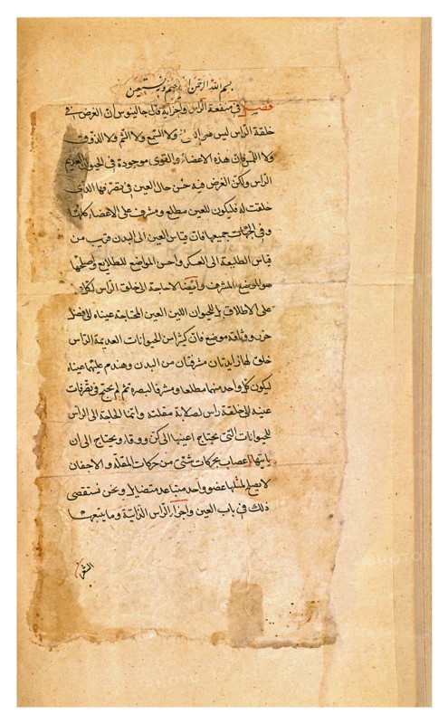 Latin translation of a Hippocratic treatise