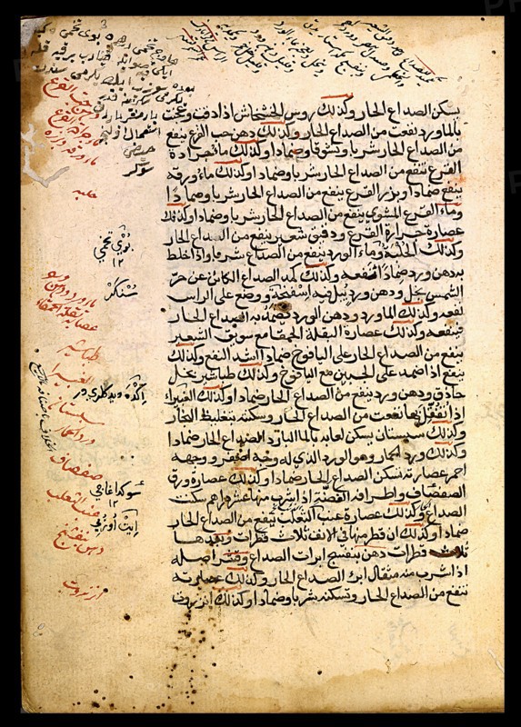 Treatise on Materia Medica
