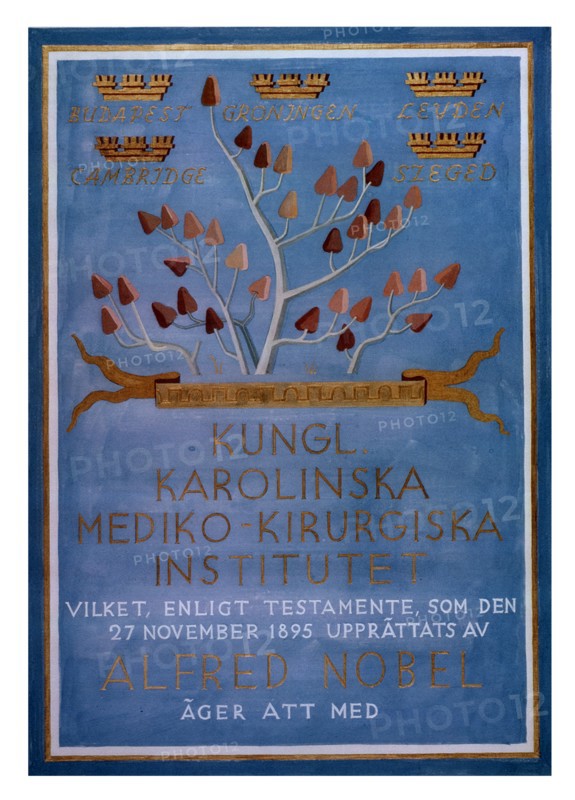 Colour photograph of Albert Szent-Gyorgyi's Nobel Prize Diploma