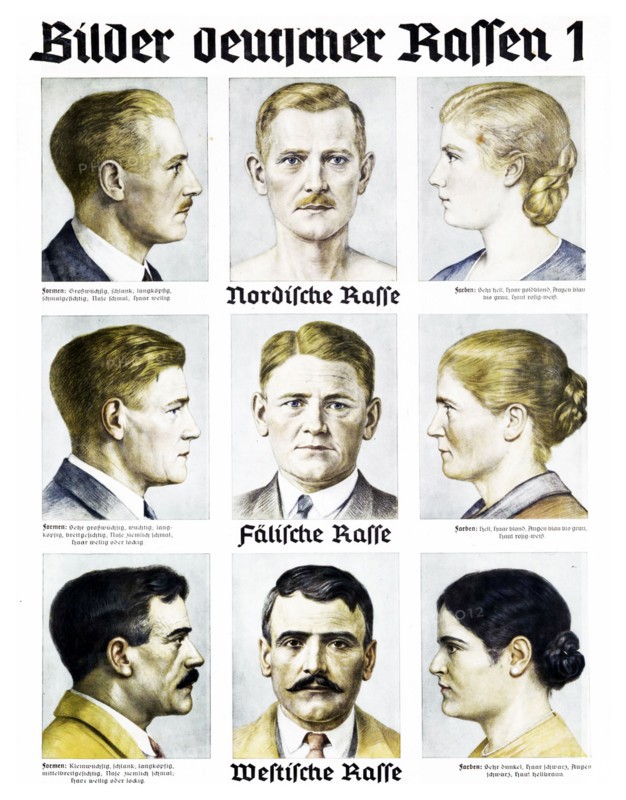 Nazi Party 'German Race' Wall chart
